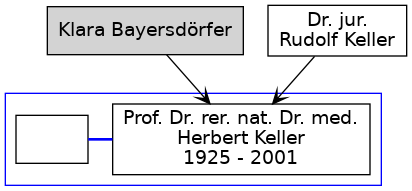 Familienbaum