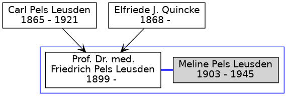 Familienbaum