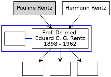 Familienbaum