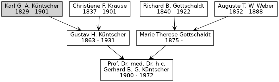 Familienbaum