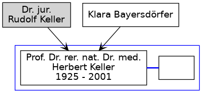 Familienbaum