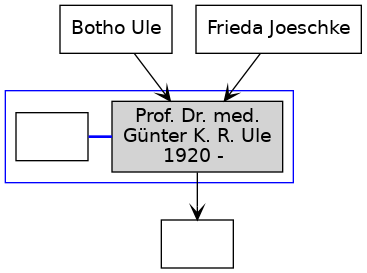 Familienbaum