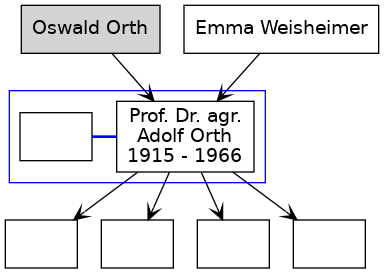 Familienbaum