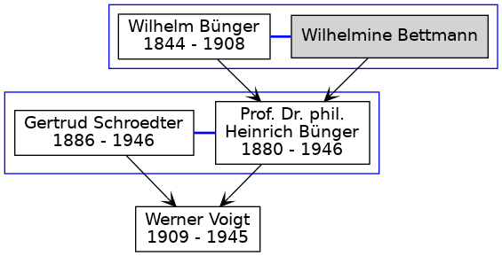 Familienbaum