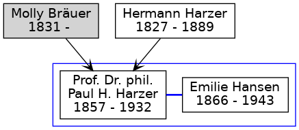 Familienbaum