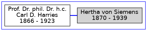 Familienbaum