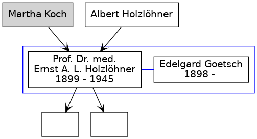 Familienbaum