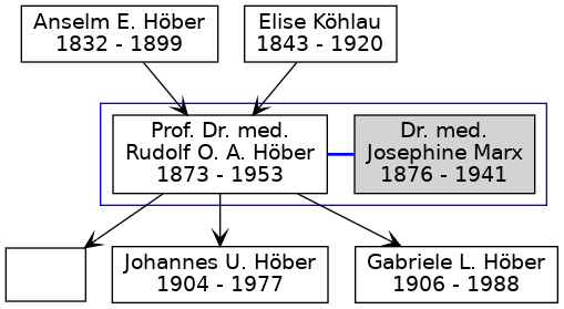 Familienbaum