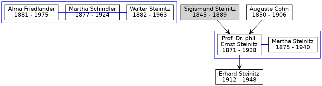 Family Tree